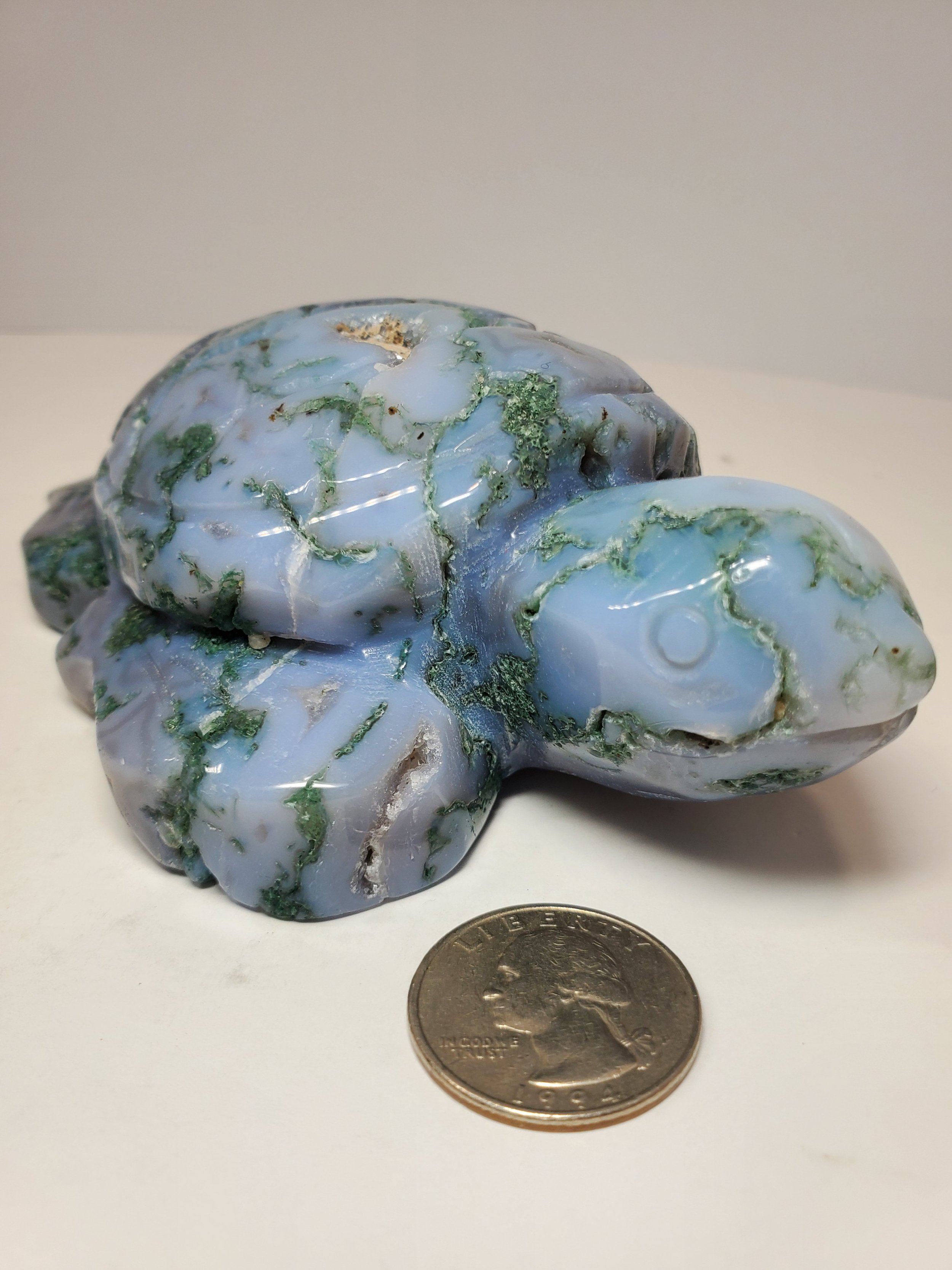 Sea Moss Agate w Druzi Turtle 1lb 2.8oz Quarter Left Face.jpg