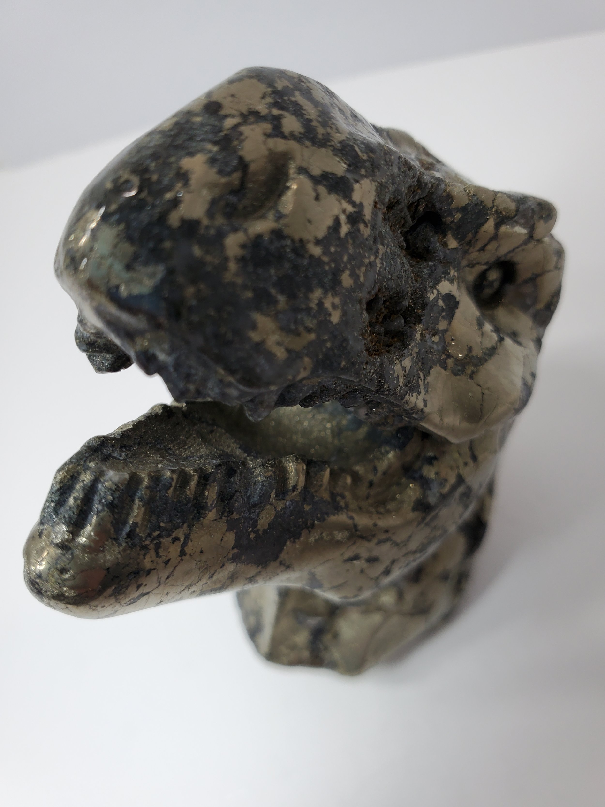 Pyrite T-rex Sold 5 (1).jpg