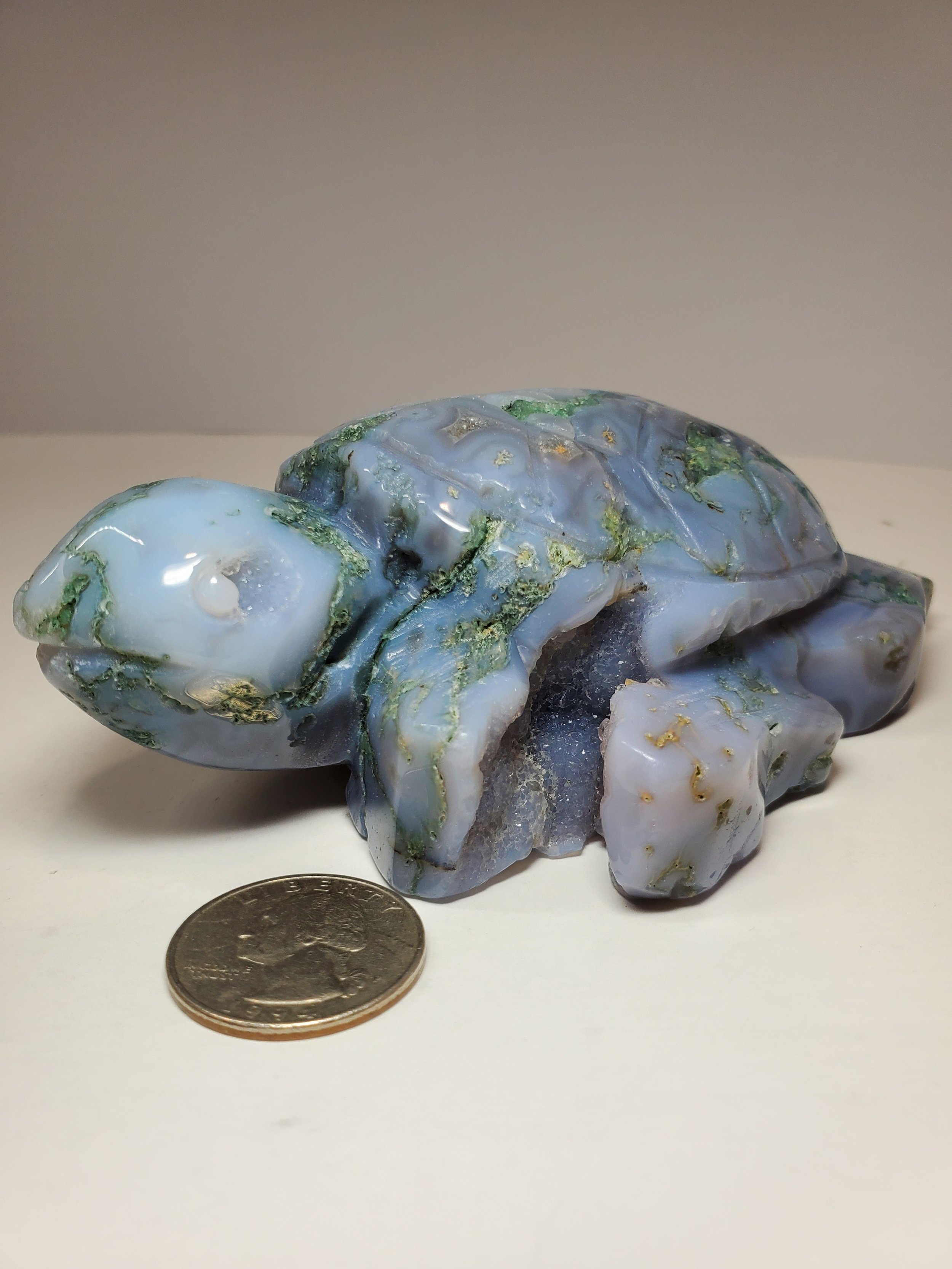 Sea Moss Agate w Druzi Turtle 1lb 2.8oz Quarter Skewed.jpg