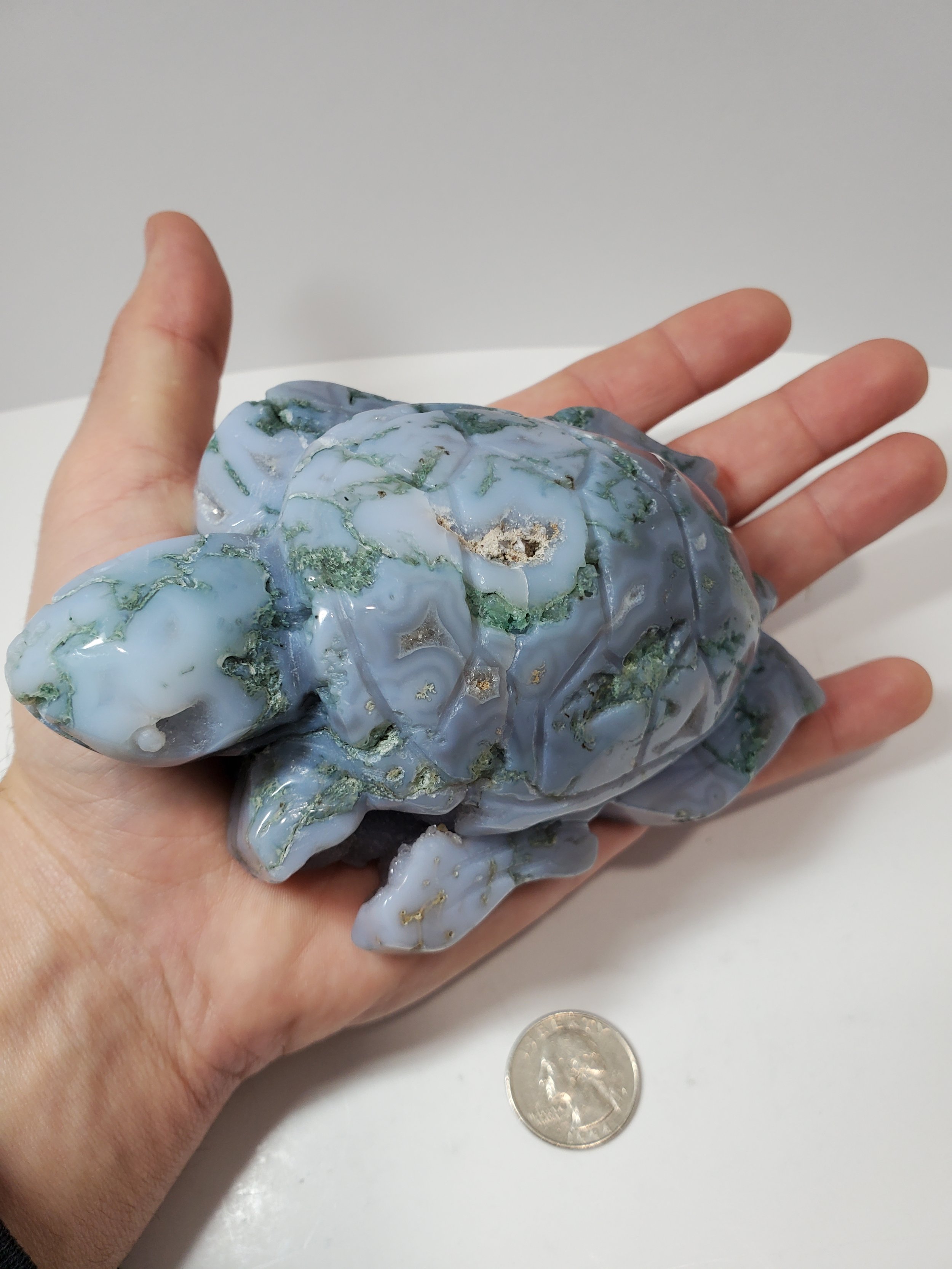 Sea Moss Agate w Druzi Turtle 1lb 2.8oz Hand.jpg
