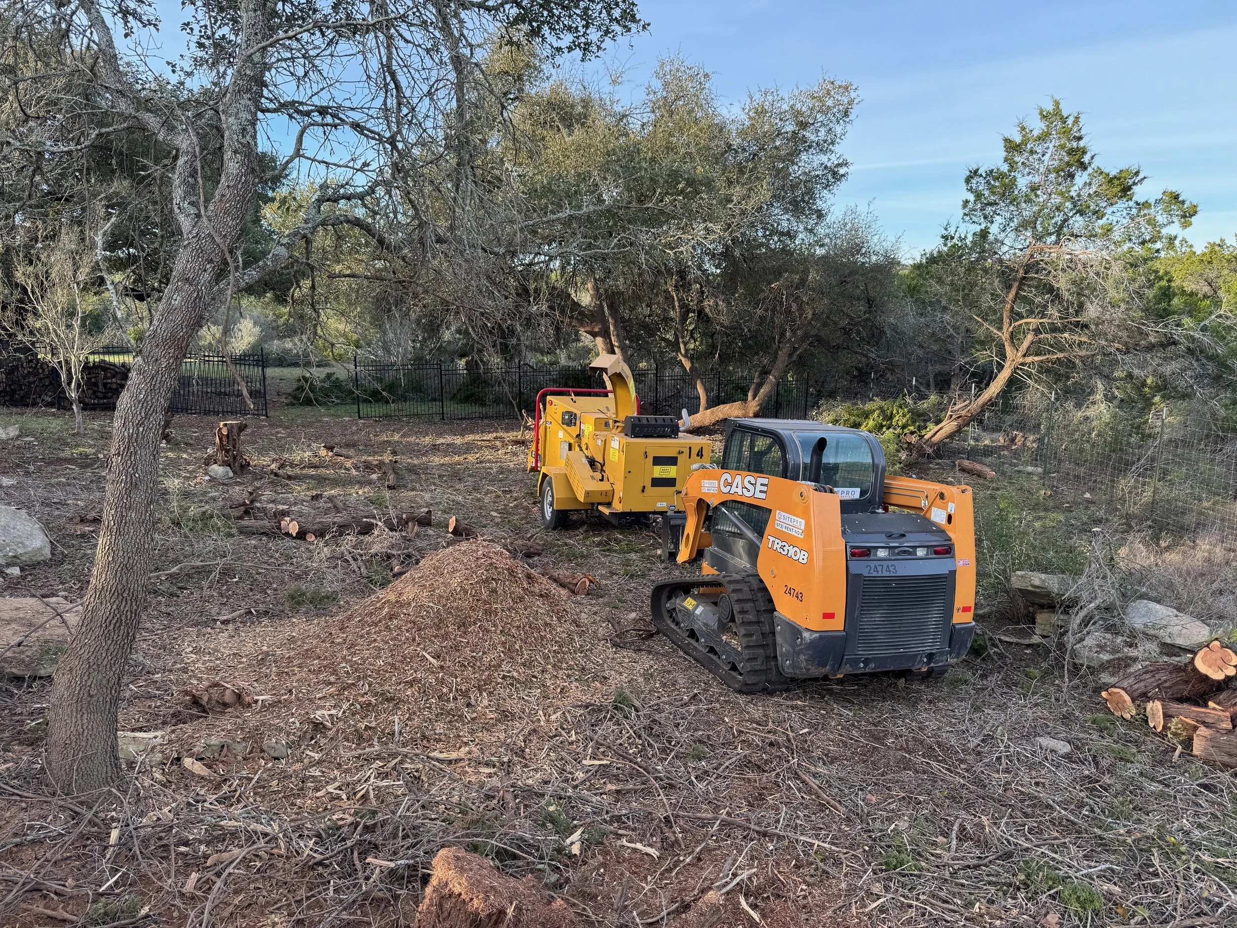 Professional crew from Dynamo Dusty Tree Services mulching and removing with selective thinning to preserve heritage oak trees in Central Texas Hill Country.