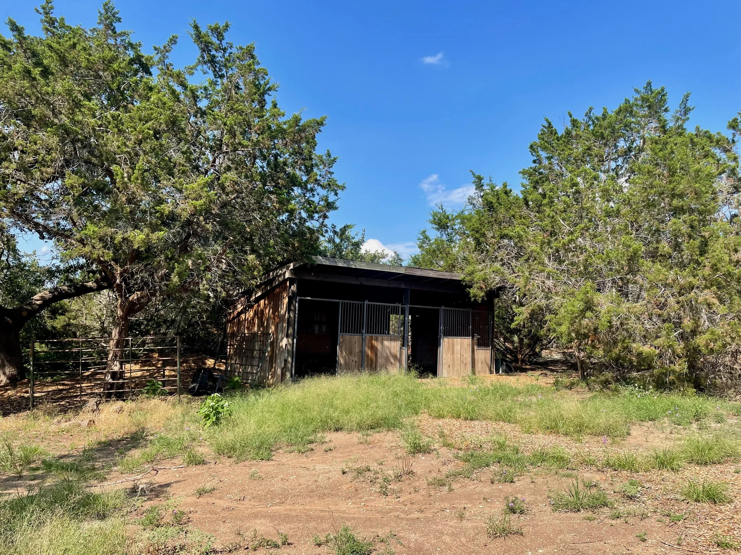 Land Thinning | Driftwood, TX | July 2024