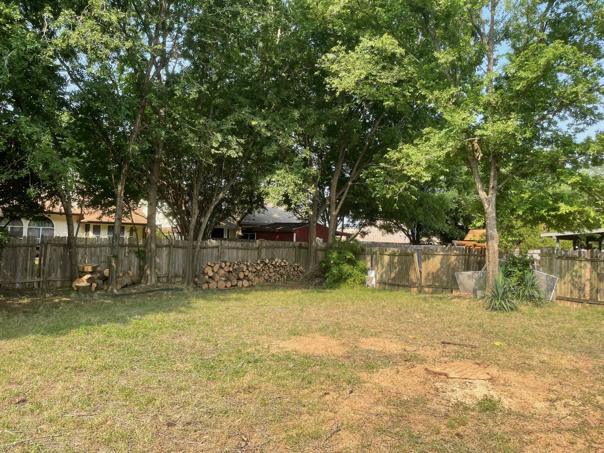 Tree Removal | Austin, TX | July 2024