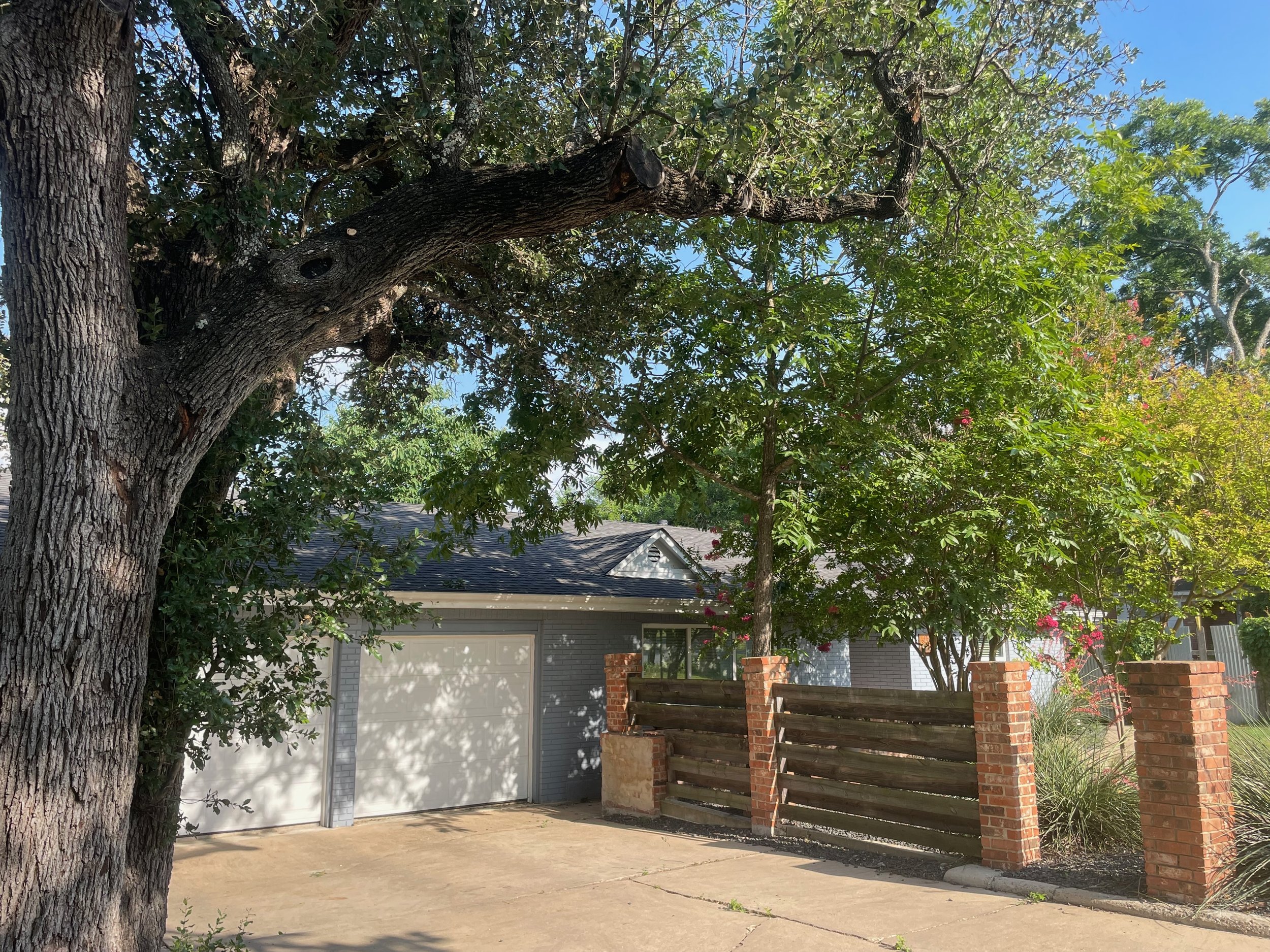 Tree Trimming | North Austin, TX | June 2024