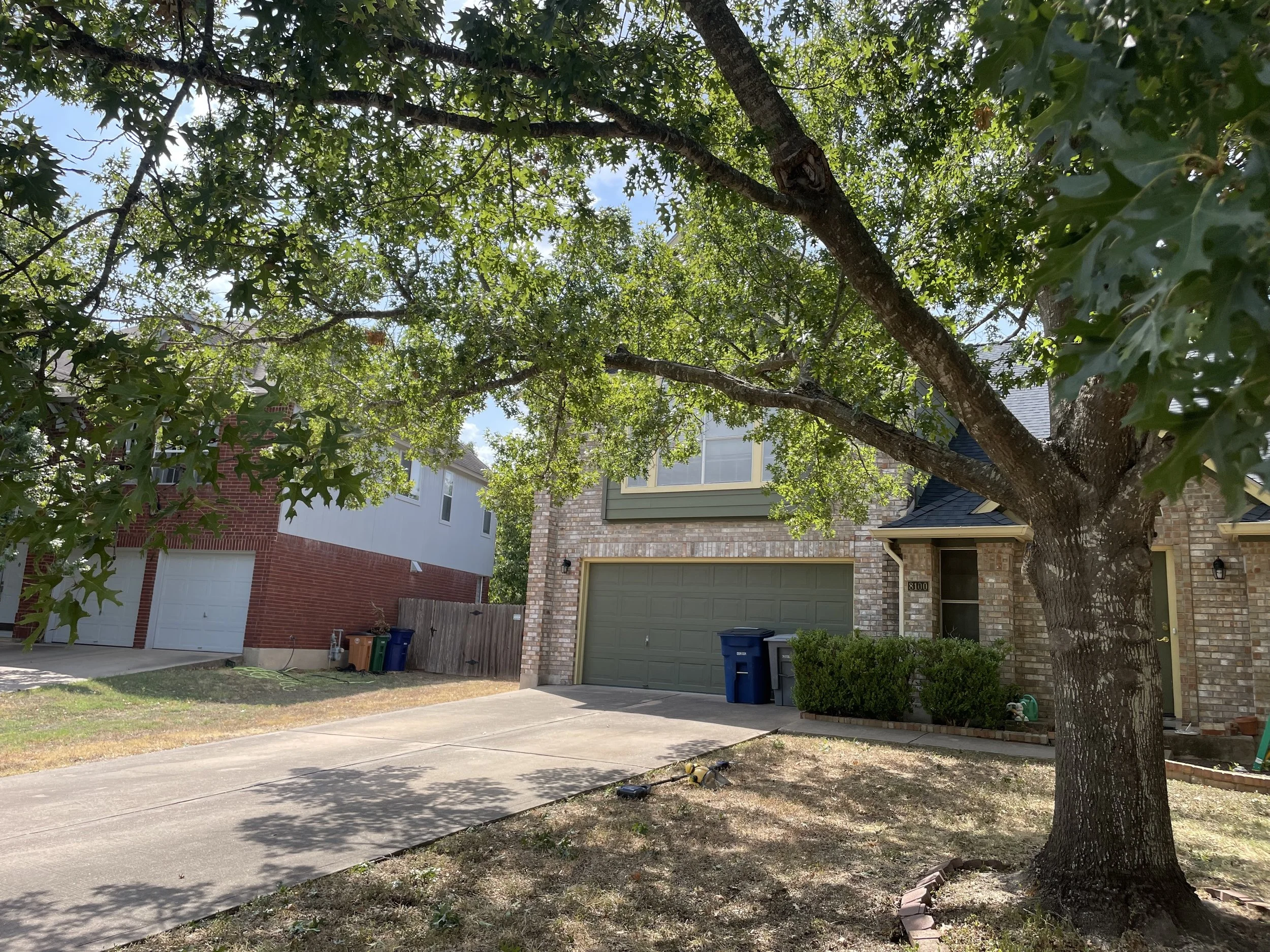 Tree Trimming | South Austin, TX | June 2024