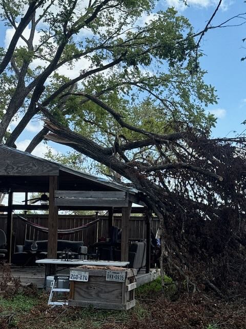 Rigging system used by Dynamo Dusty Tree Services for controlled removal of a heavy, unstable limb over a roof (Emergency Tree Removal Near Me).