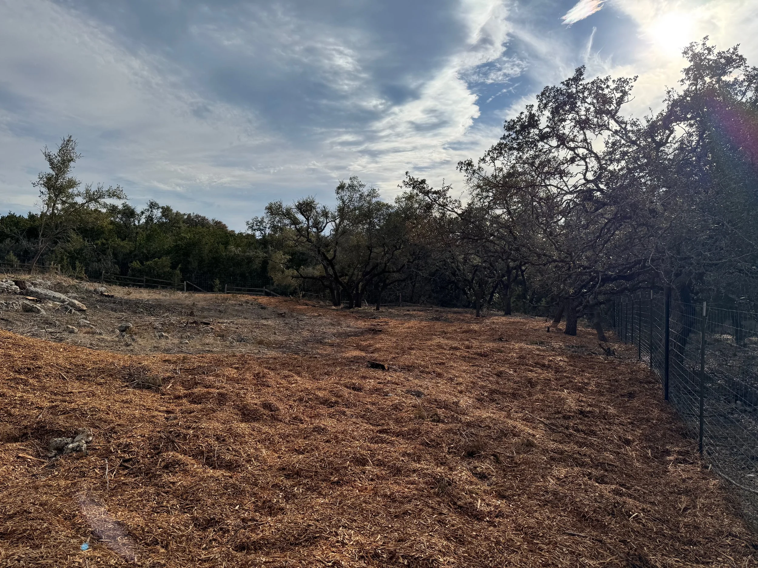 Expert land clearing crew from Dynamo Dusty Tree Services creating a clean fence line or right-of-way clearing near Driftwood, TX.