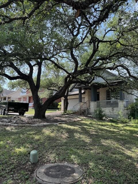 Dynamo Dusty Tree Trimming Services Austin