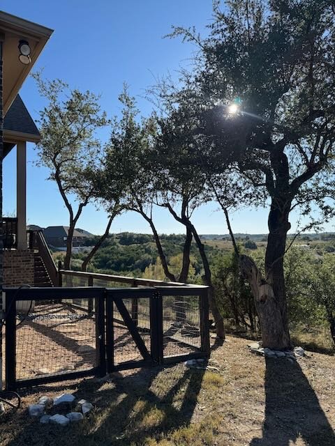 Dynamo Dusty Tree Trimming Services Austin