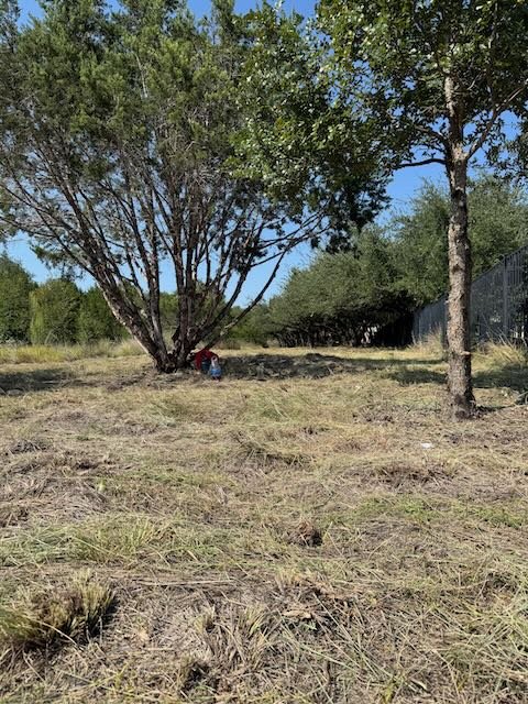 A finished project in Buda, Texas, showcasing professionally thinned trees and cleared brush by Dynamo Dusty’s. The area is now cleaner, safer, and better protected against storm damage and seasonal wildfire threats.