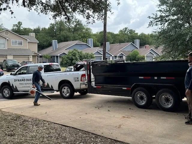 Dynamo Dusty Tree Trimming Services Austin