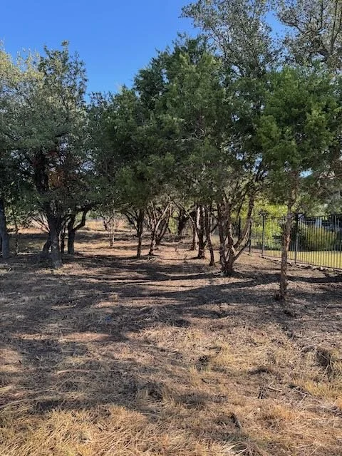 Dynamo Dusty’s specialists thin a crowded tree canopy in Dripping Springs, removing dead limbs and clearing the understory. Our tree trimming services improve sunlight penetration, airflow, and storm readiness for Hill Country properties.