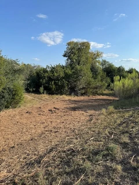 A fully cleared area in the Texas Hill Country after Dynamo Dusty’s completed brush removal and land thinning. This open landscape shows the results of our expert land-clearing services, ideal for ranch owners, acreage properties, and new home sites.