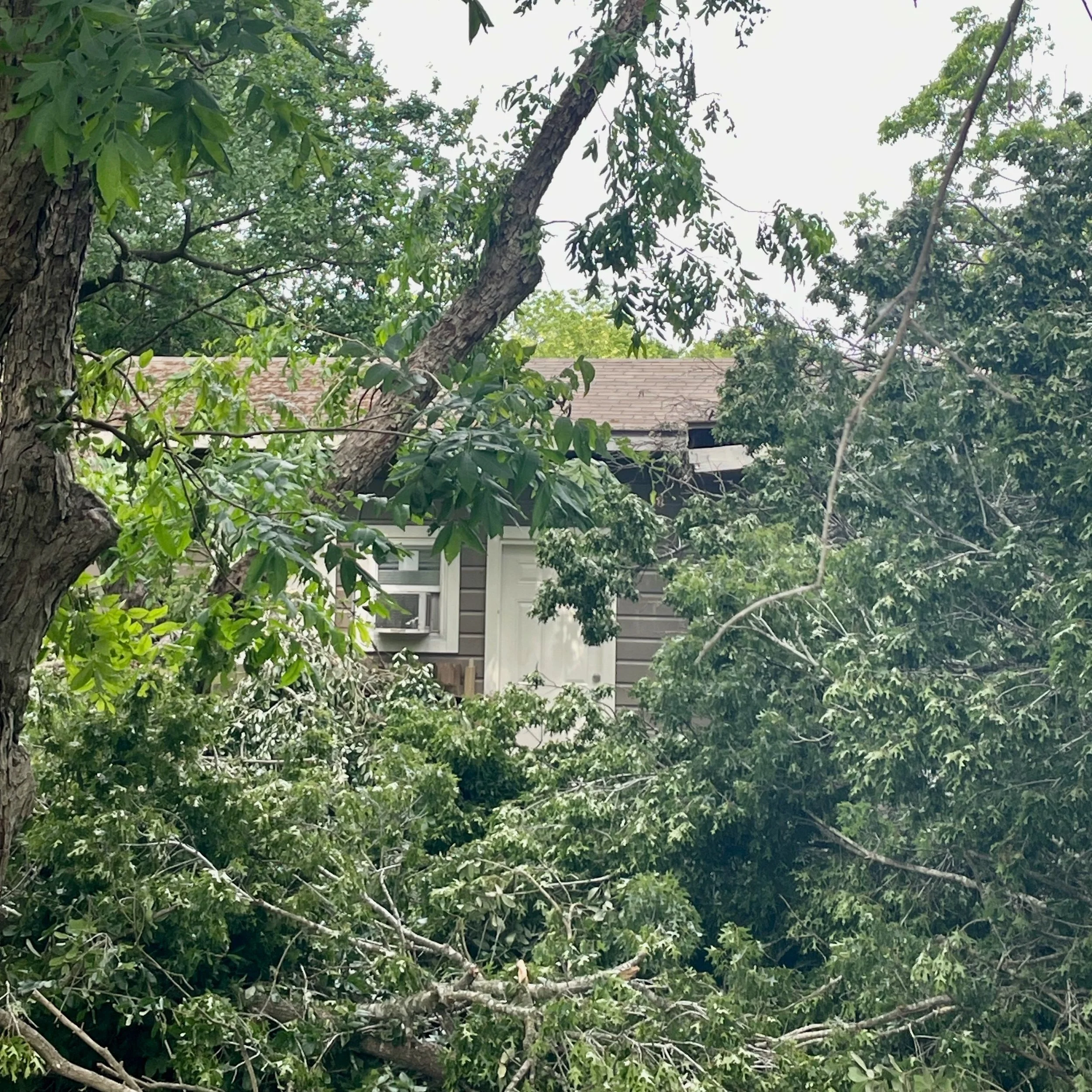 Emergency Tree Removal and Storm Damage Services in Dripping Springs Texas with Dynamo Dusty's Tree Service