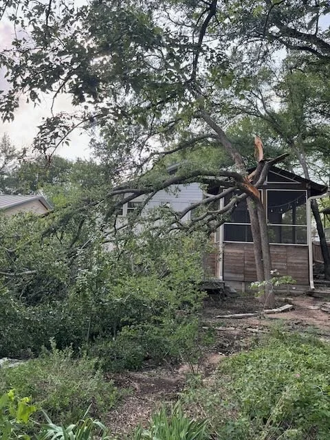 Dynamo Dusty's team removing storm-damaged Ashe Juniper and debris during an emergency tree removal call in Blanco, TX.