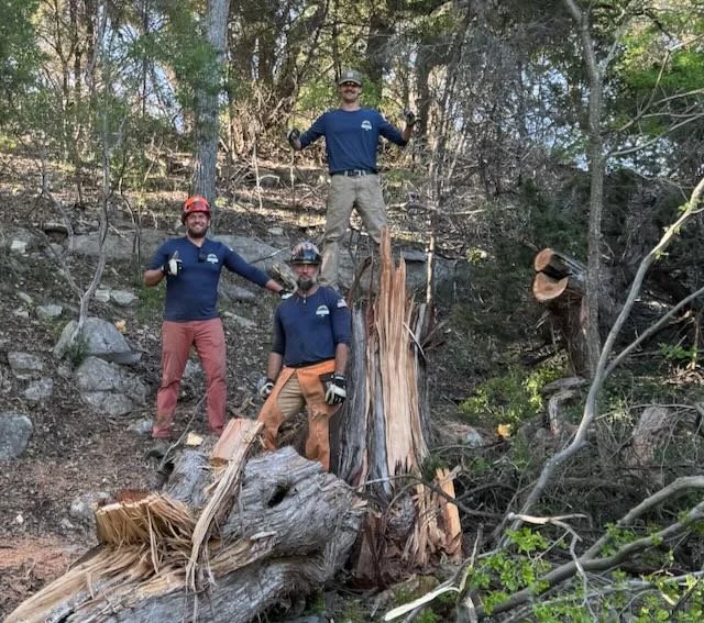 Dusty and Crew Giant Cedar.jpeg