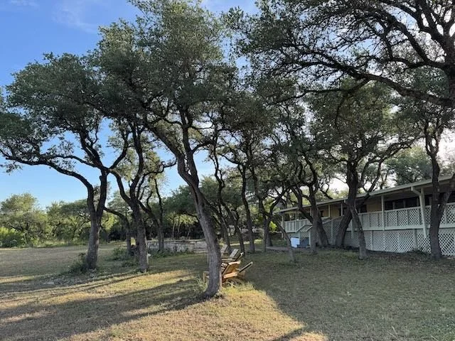 Dynamo Dusty Tree Trimming Services Austin