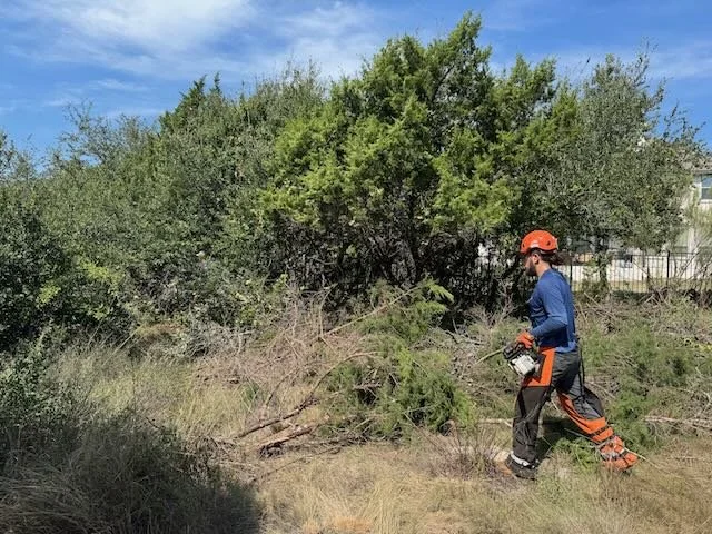 Dynamo Dusty’s performs precise tree trimming and underbrush removal along a fence line in Buda, Texas. Our team specializes in clearing tight spaces, improving visibility, and enhancing safety around residential and commercial properties.