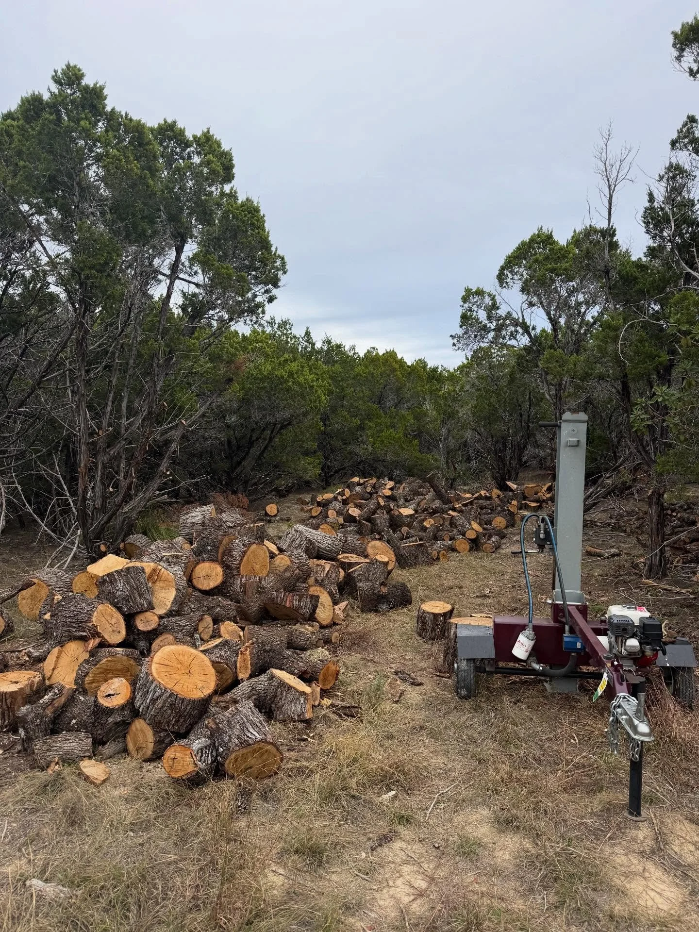 Firewood for Sale — Dynamo Dusty's Tree Service