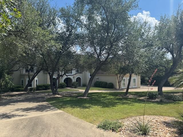 Dynamo Dusty Tree Trimming Services Austin