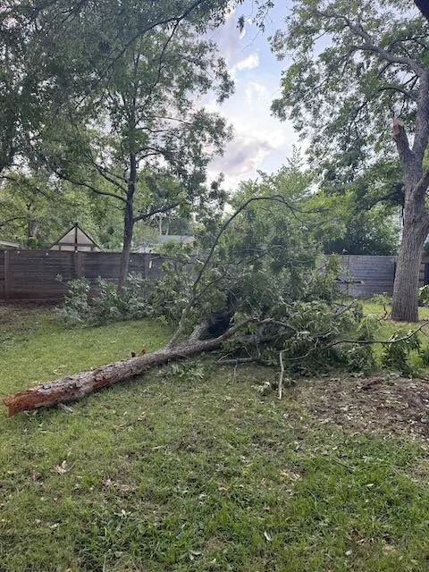Dynamo Dusty Tree Services performing emergency tree removal of a large oak tree leaning dangerously toward a home in Dripping Springs, TX.