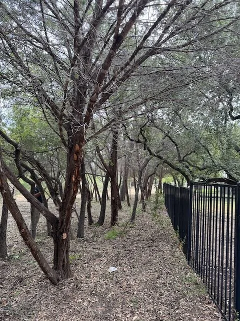 A skilled Dynamo Dusty’s team member performs cedar cutting and controlled tree removal in the Texas Hill Country. We handle everything from selective trimming to full tree removal to restore property health and prepare land for building, fencing, or