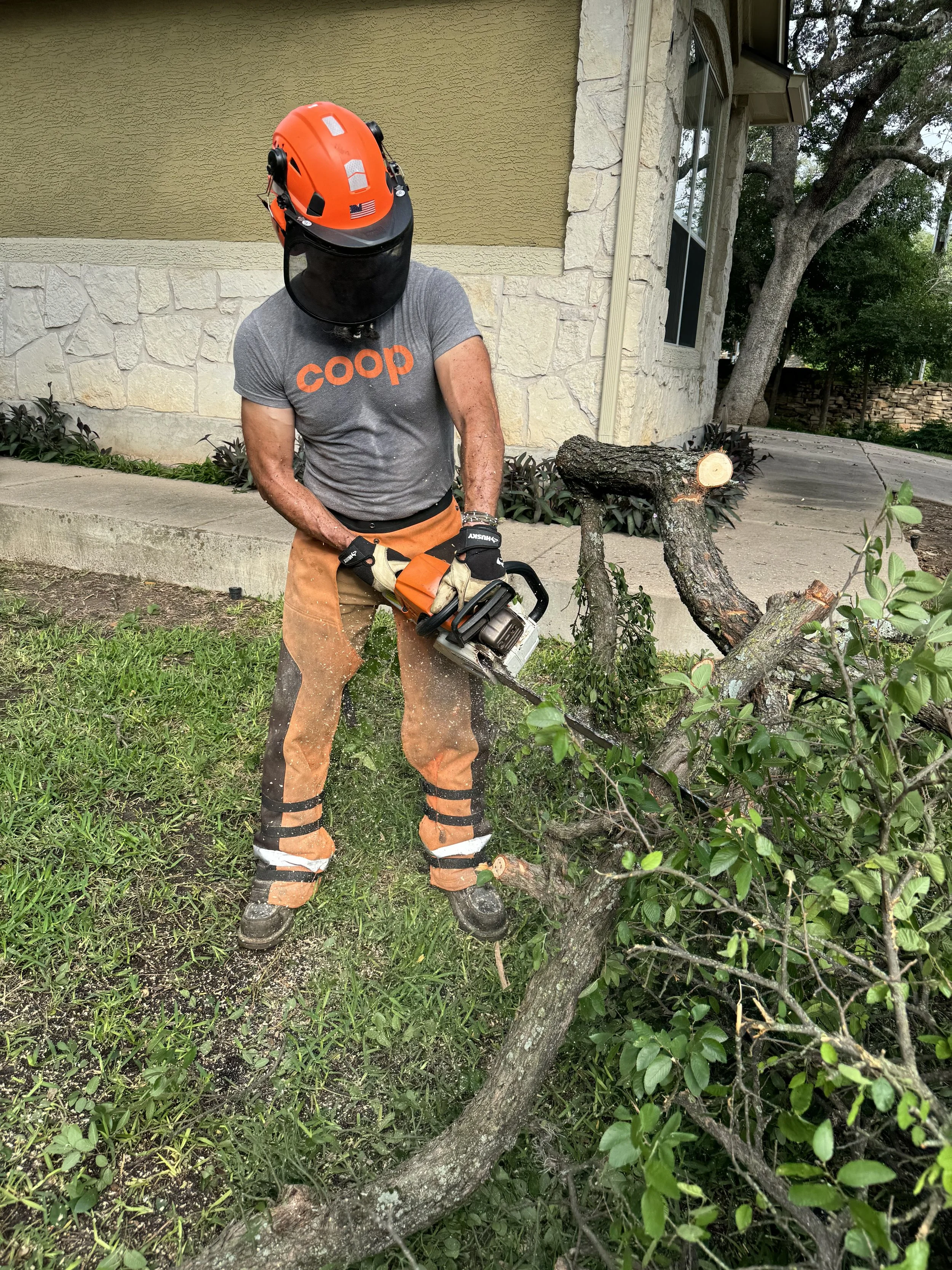 Dynamo Dusty Tree Trimming Services Austin