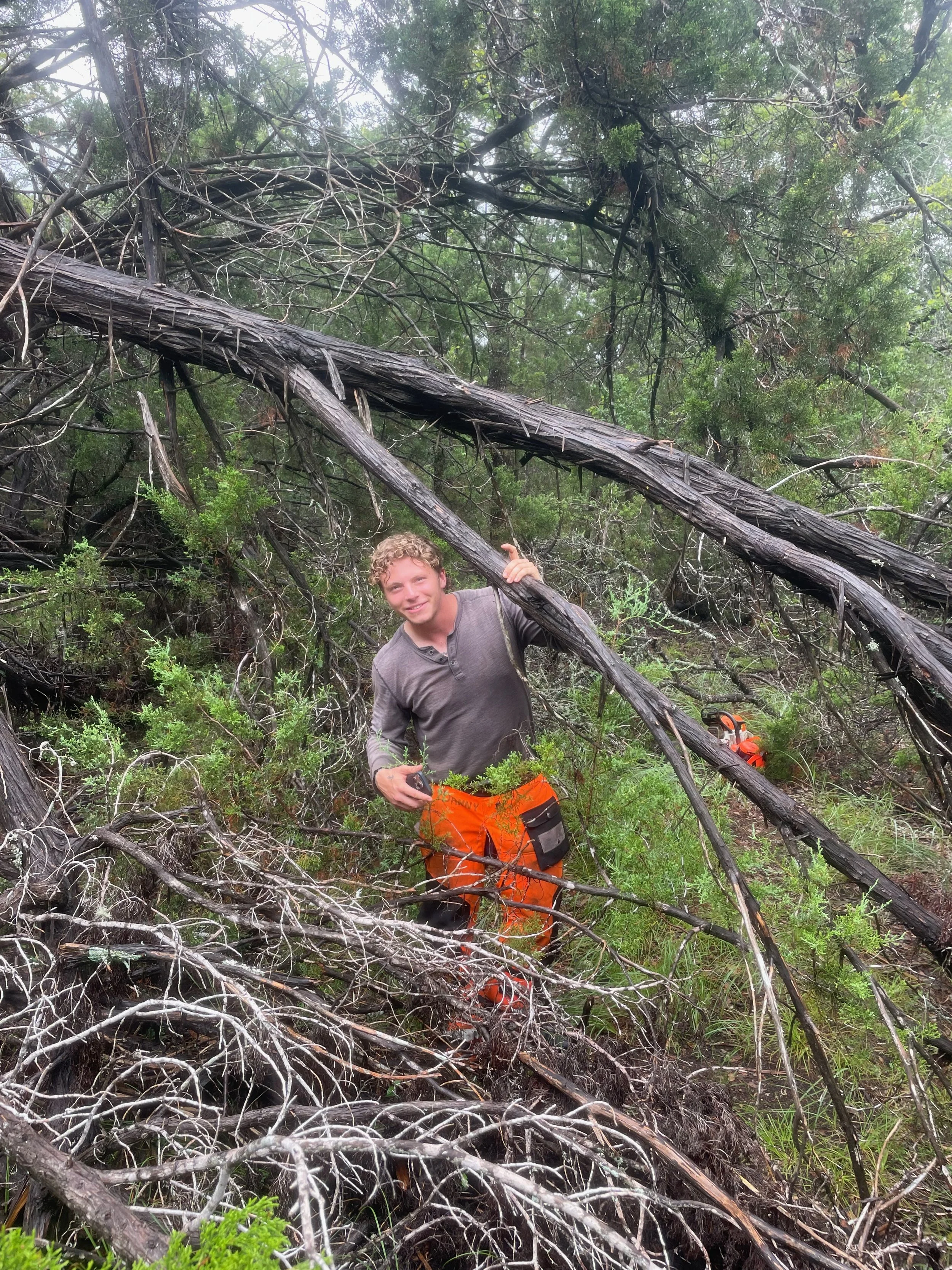 High-horsepower equipment used by Dynamo Dusty Tree Services for efficient Ashe Juniper (Cedar) clearing and removal on ranch land near Blanco, TX.