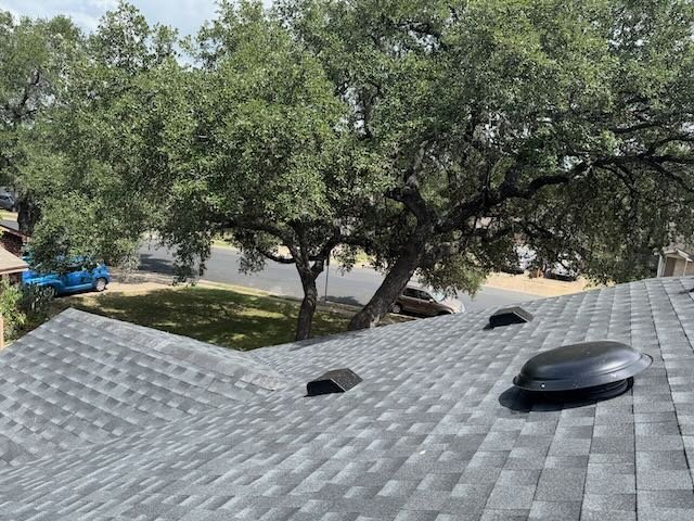 Dynamo Dusty Tree Trimming Services Austin