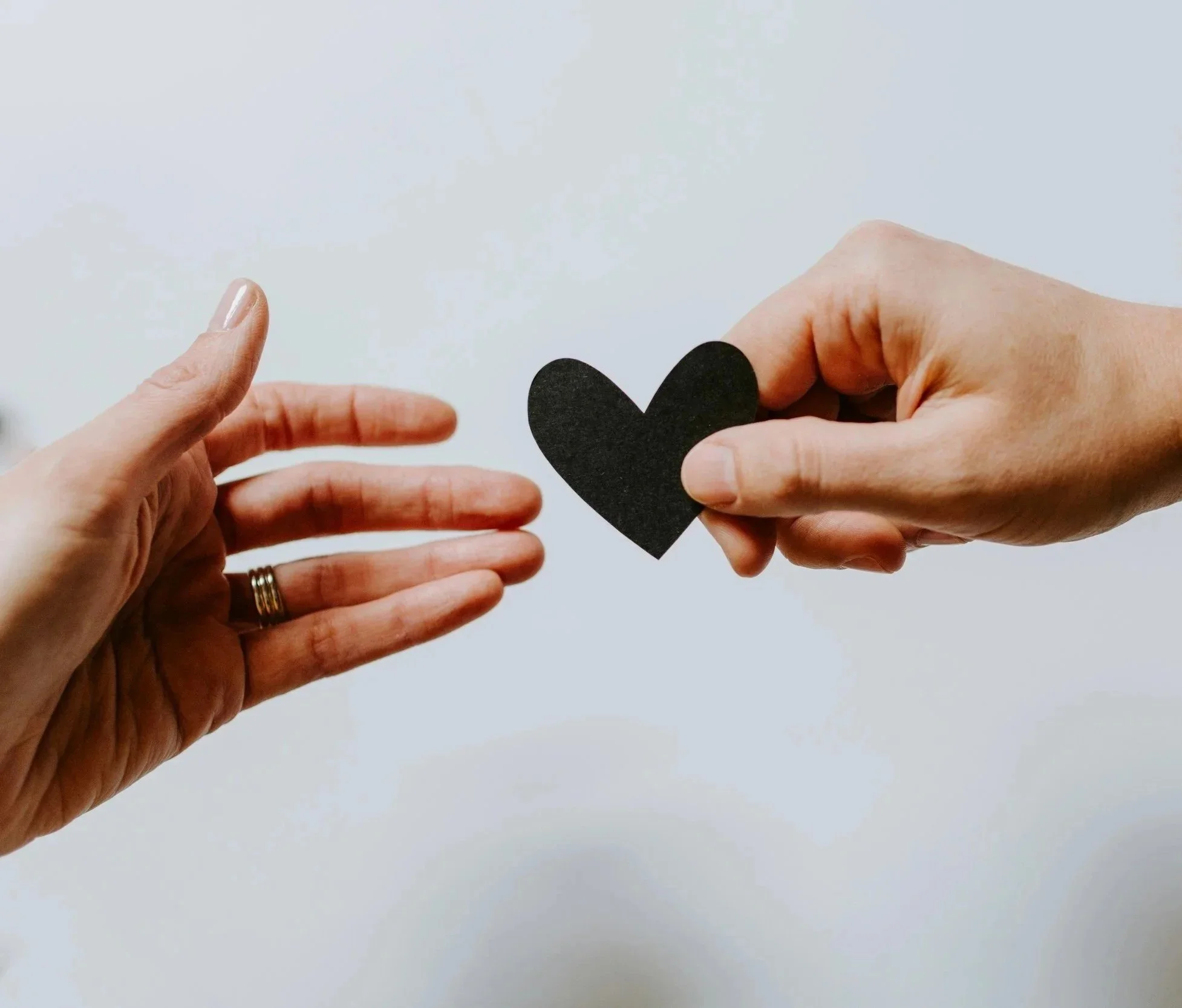 OneOC Fiscal Sponsorship