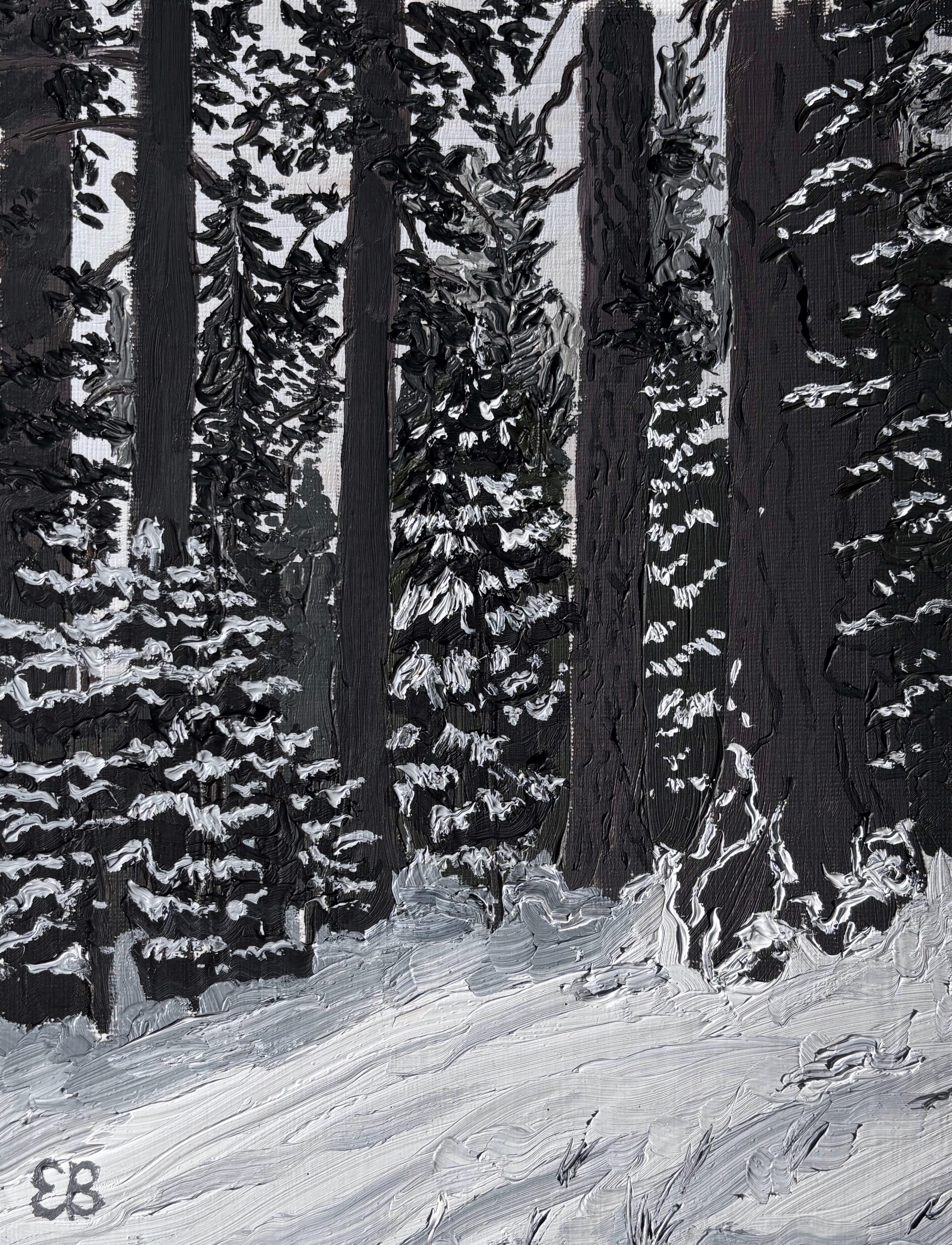 Snowy Forest.jpg