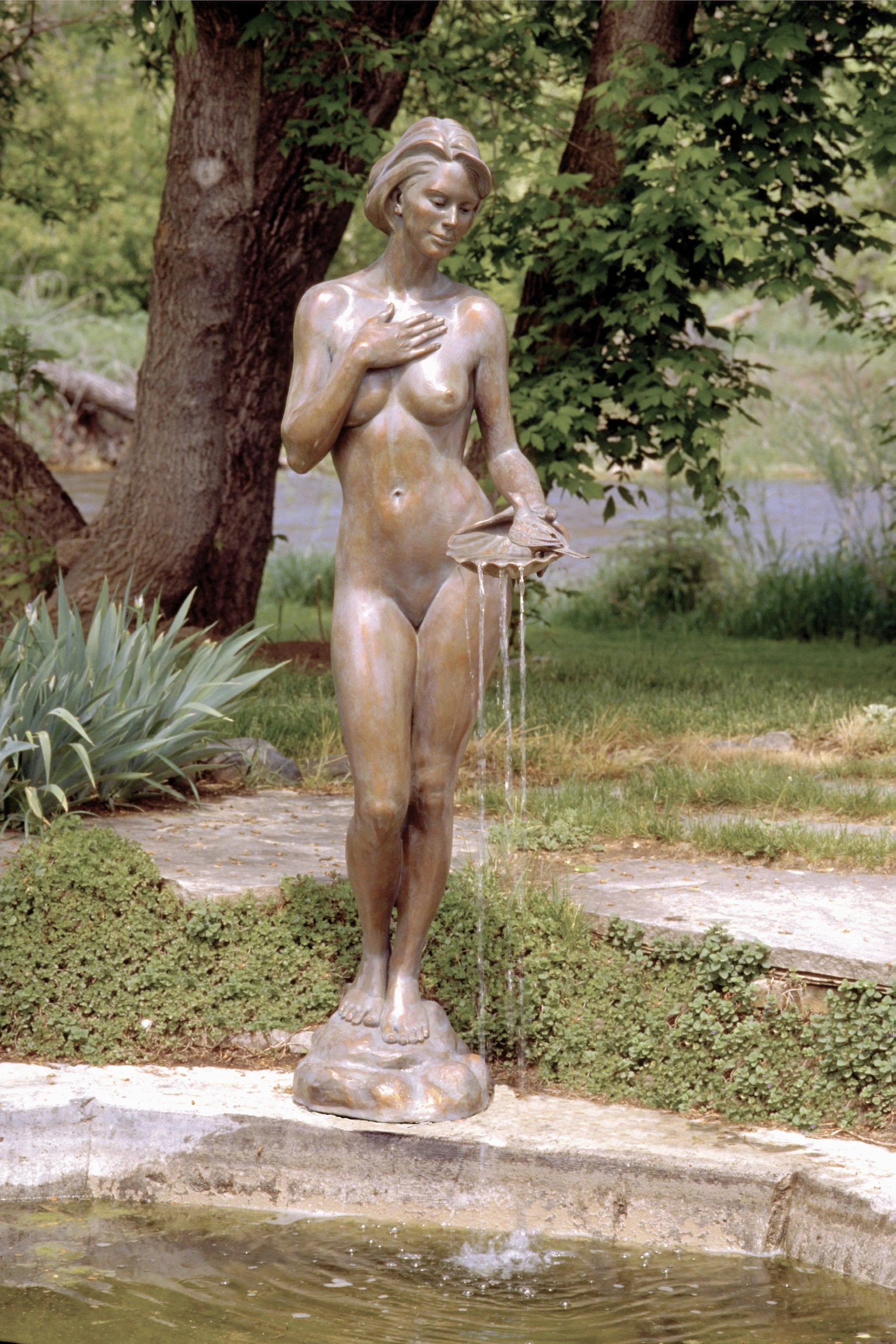The Bird Bath