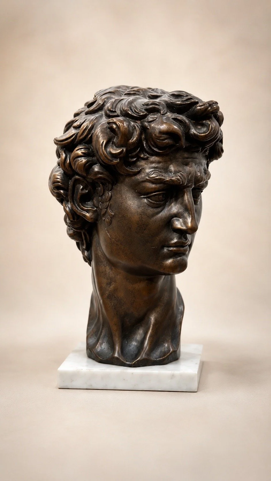 bust of michelangelos David