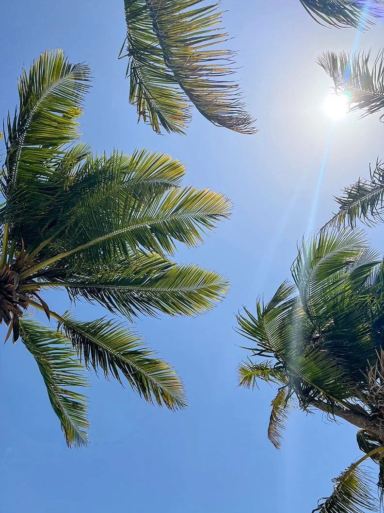 Fully immerse yourself in nature with Roam Yoga Retreats. Blue skies, palm trees and sunshine