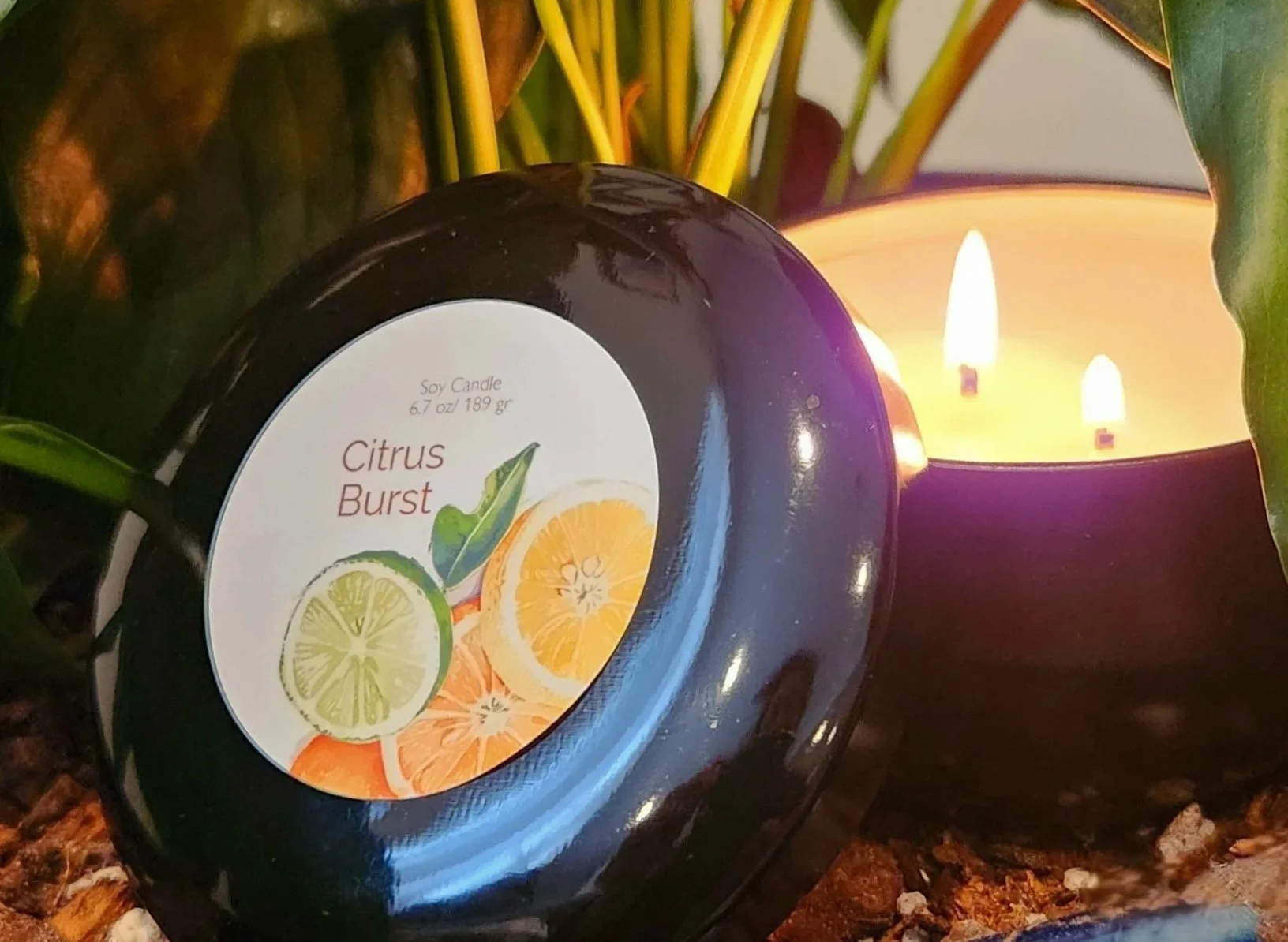 Soy Tin  6 Month  Subscription Service