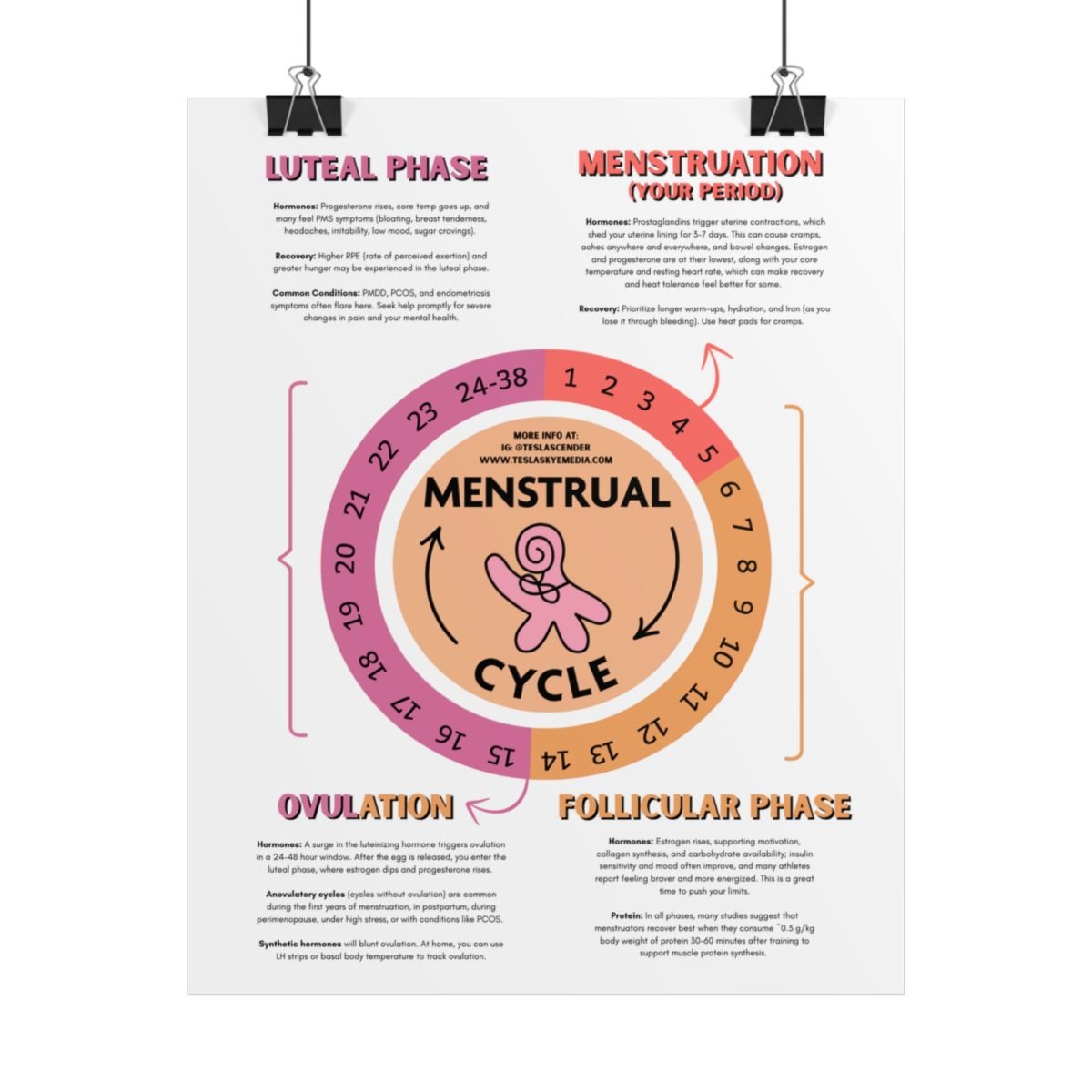 menstrual-cycle-guide-rolled-poster.jpg