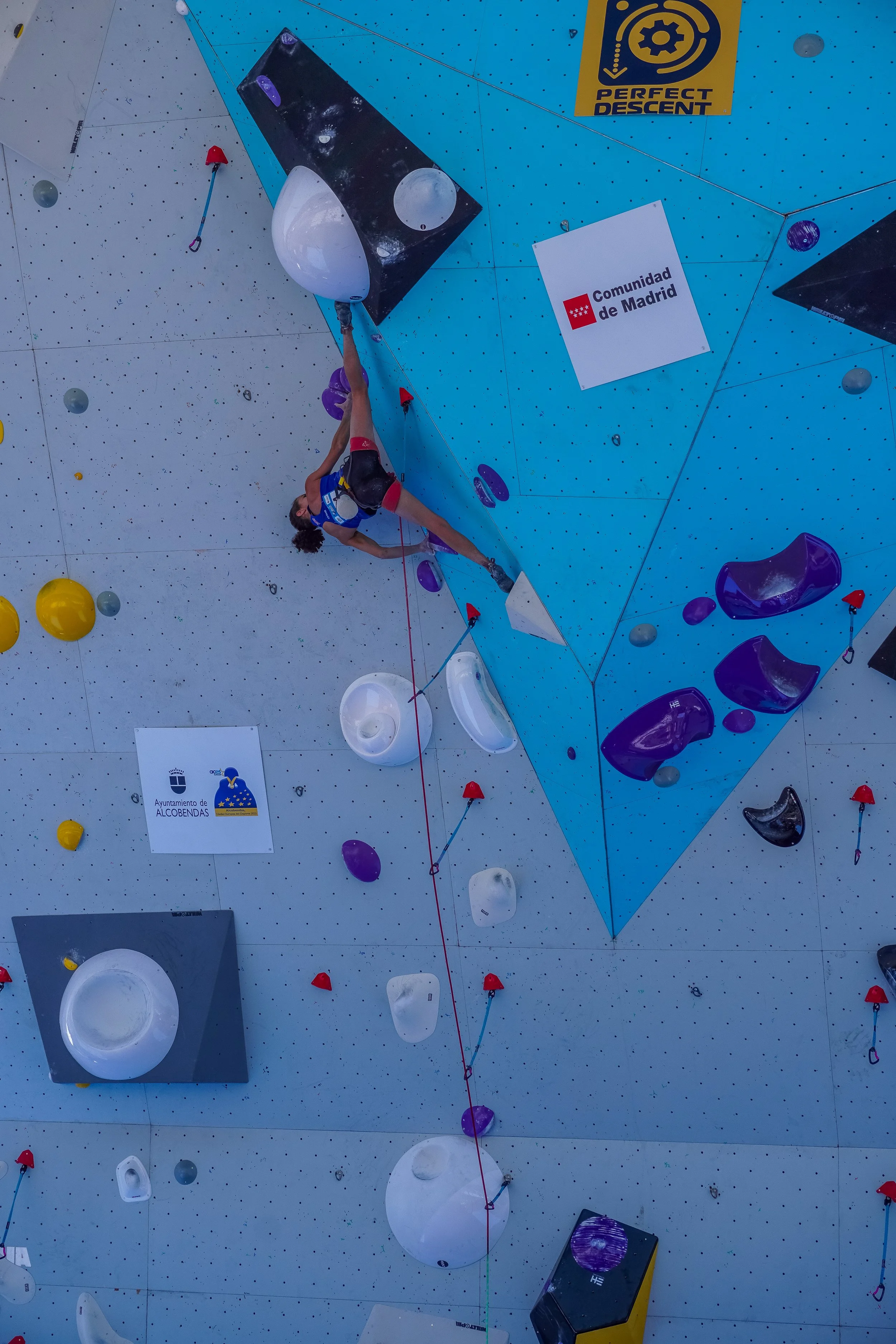 Lead Qualis  420.jpg