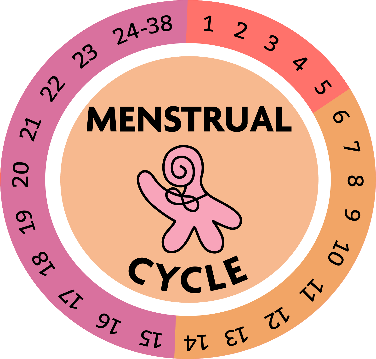 A circular chart illustrating the menstrual cycle, divided into colored sections for each day from 1 to 31, with the words 'Menstrual Cycle' and an illustration of a person with a spiral line inside the pelvis area.