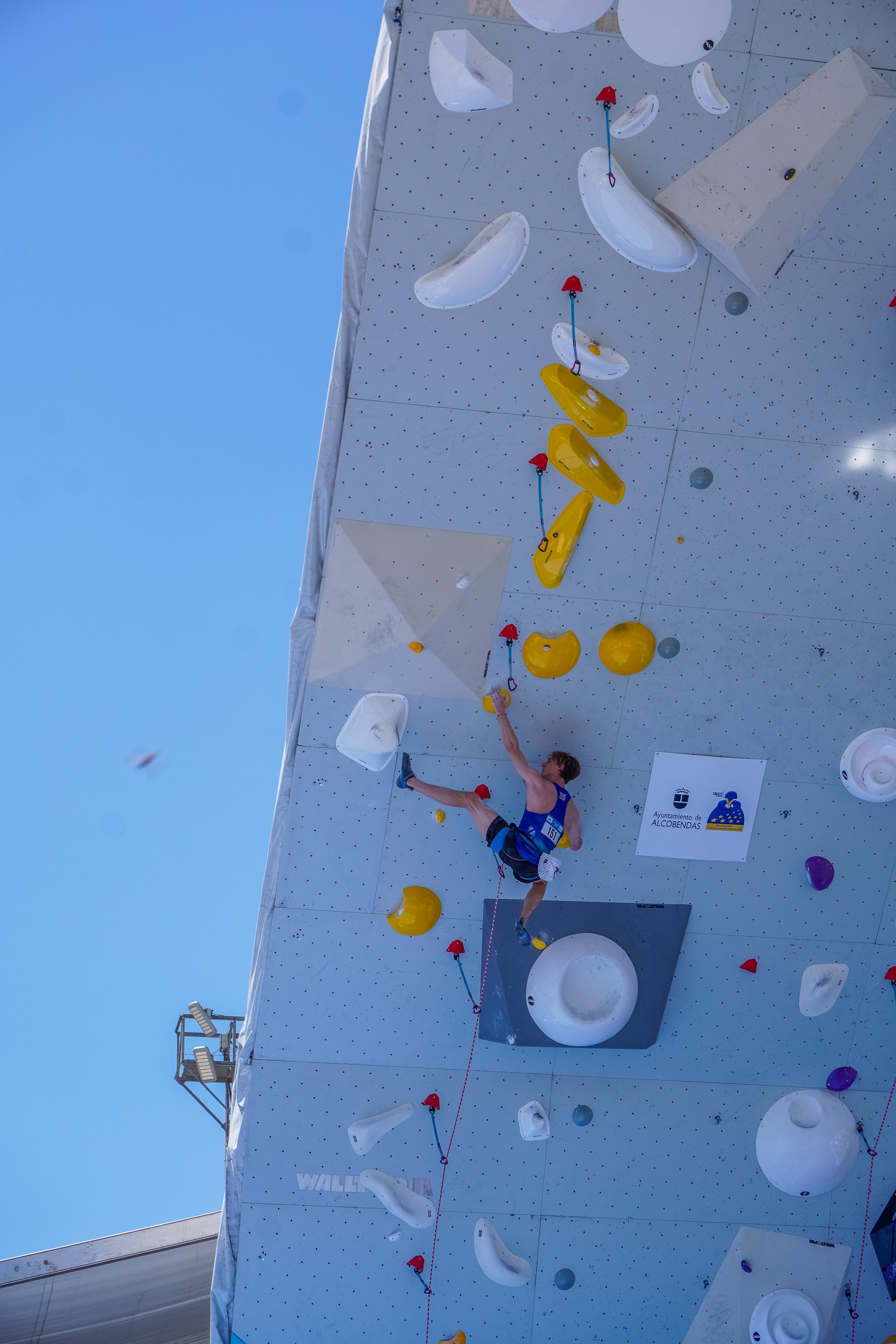 Lead Qualis  316.jpg