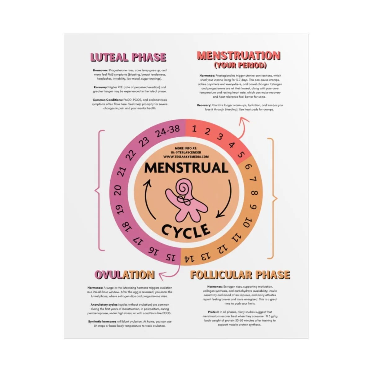 menstrual-cycle-guide-rolled-poster-1.jpg