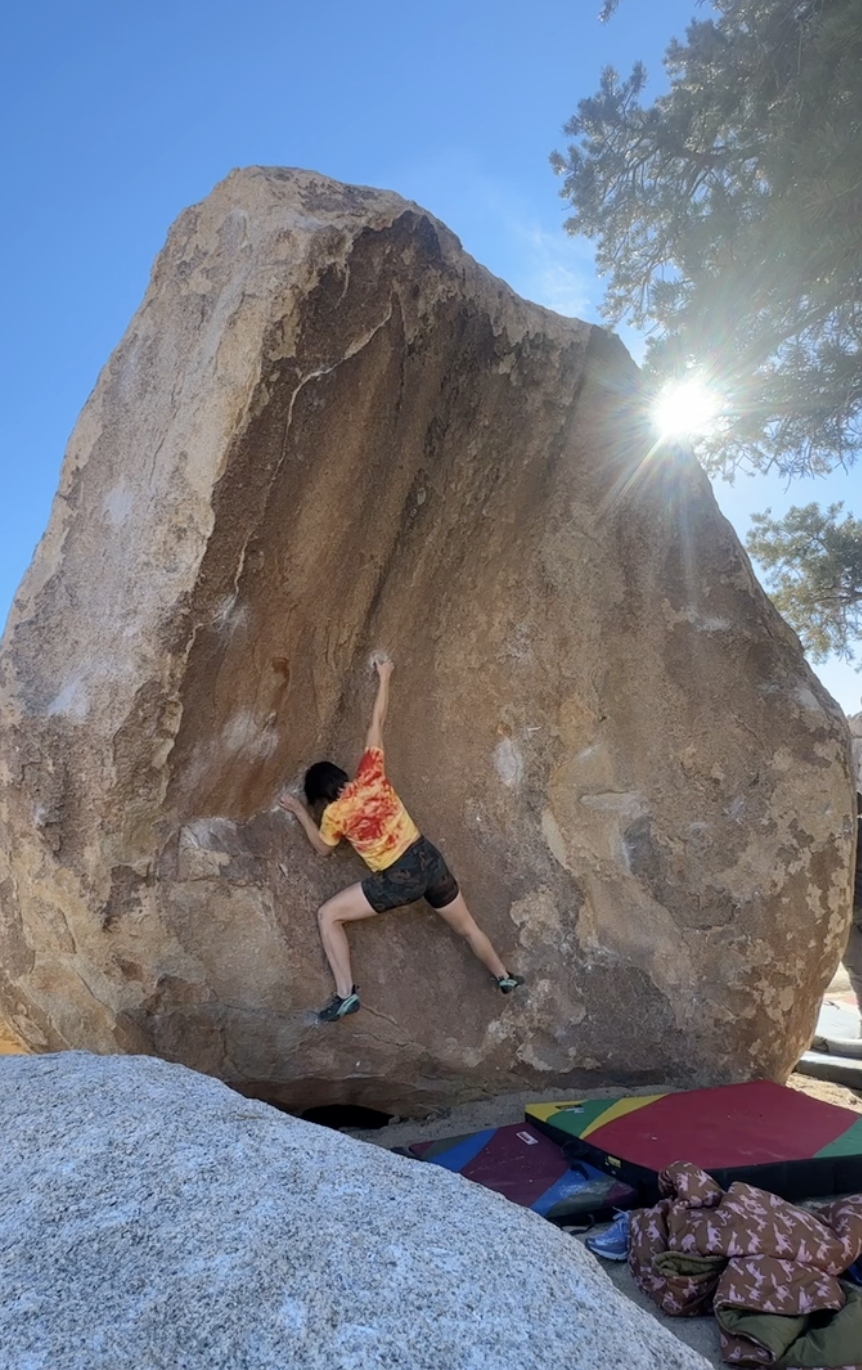 A person rock climbing on a large boulder outdoors under a clear blue sky with the sun shining through a tree.