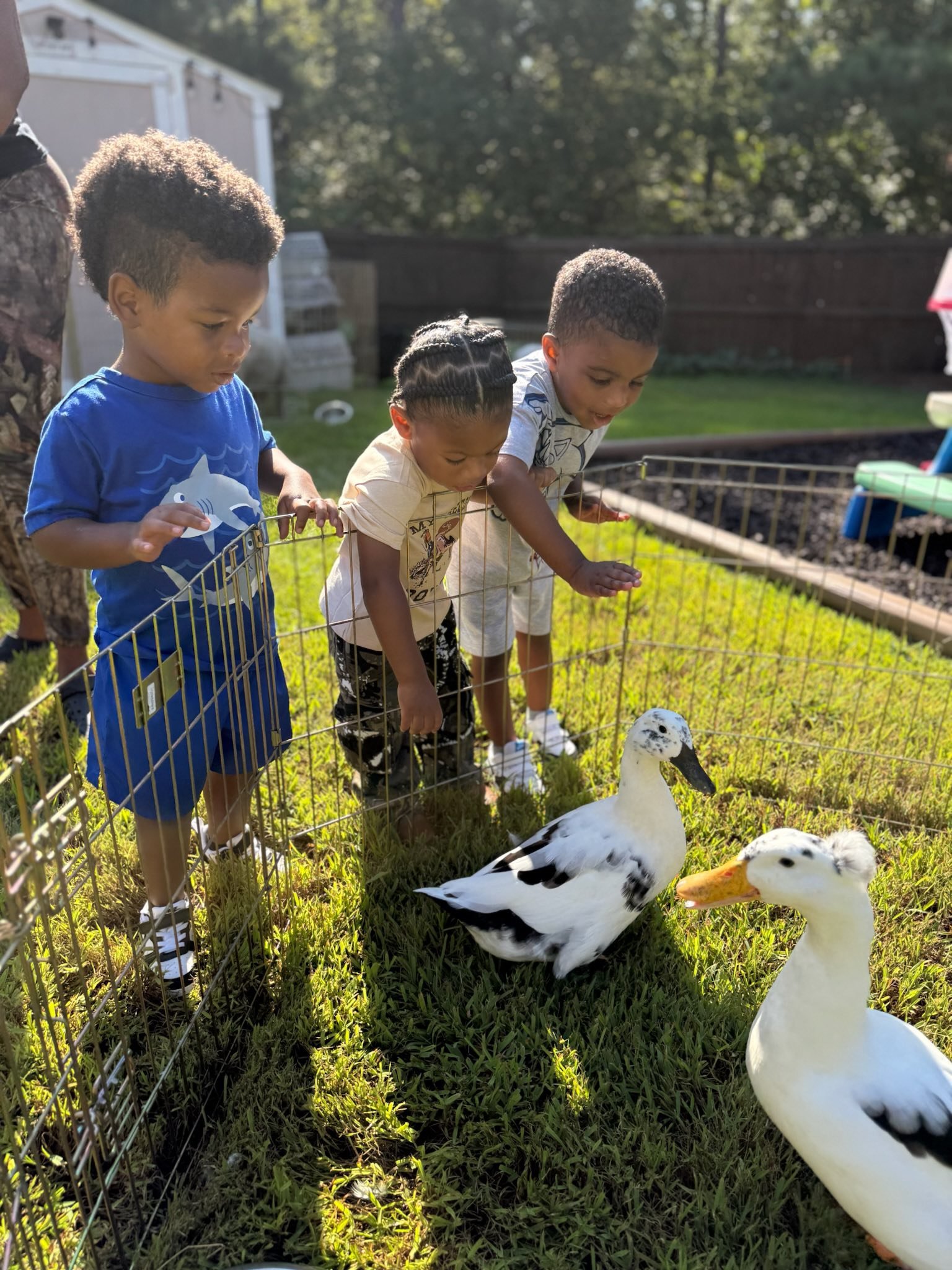 How Mobile Petting Zoos Support Hands-On Learning in Columbia Schools