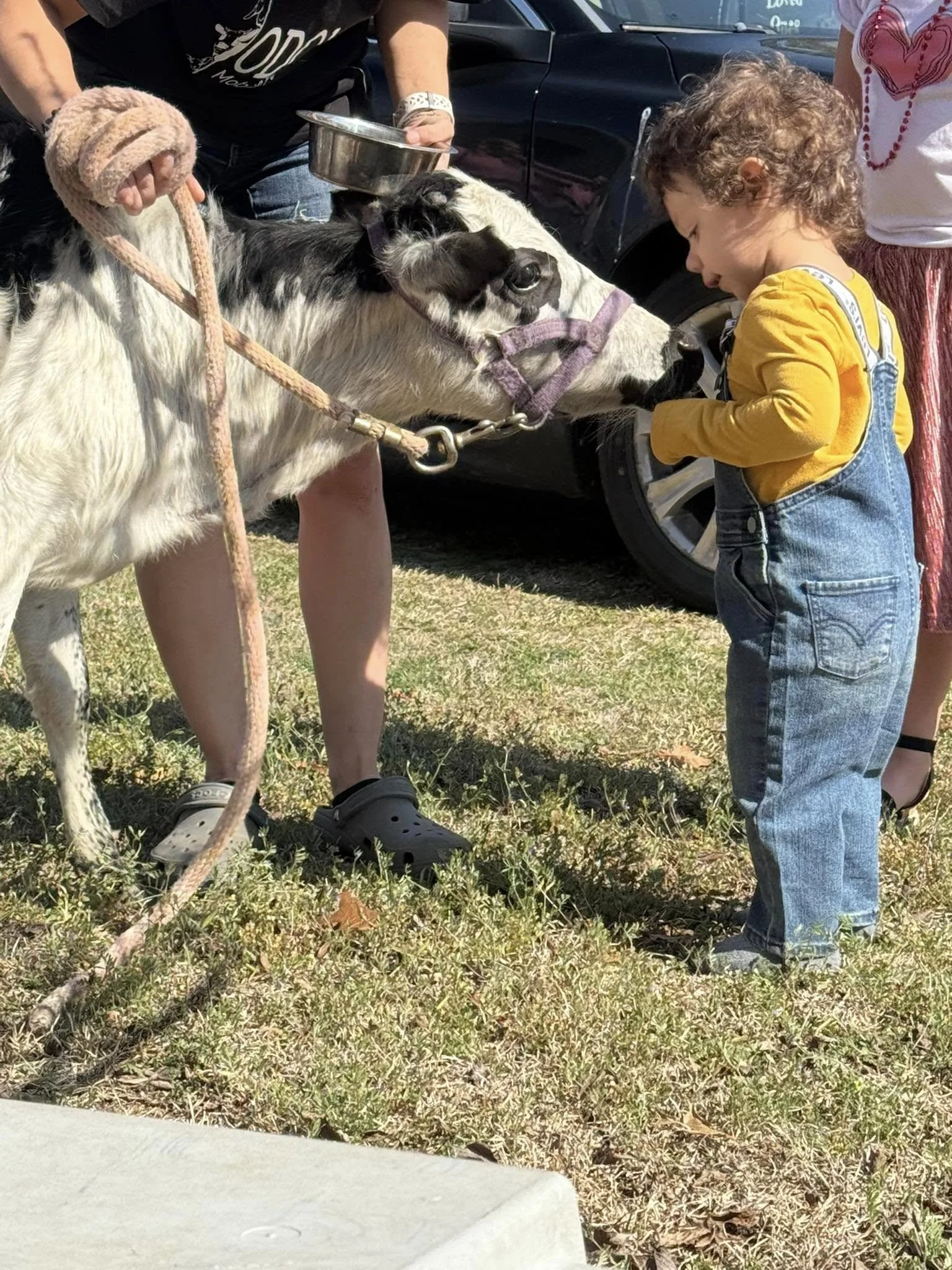 Why Families Trust Odom’s Mobile Petting Zoo in Columbia, SC