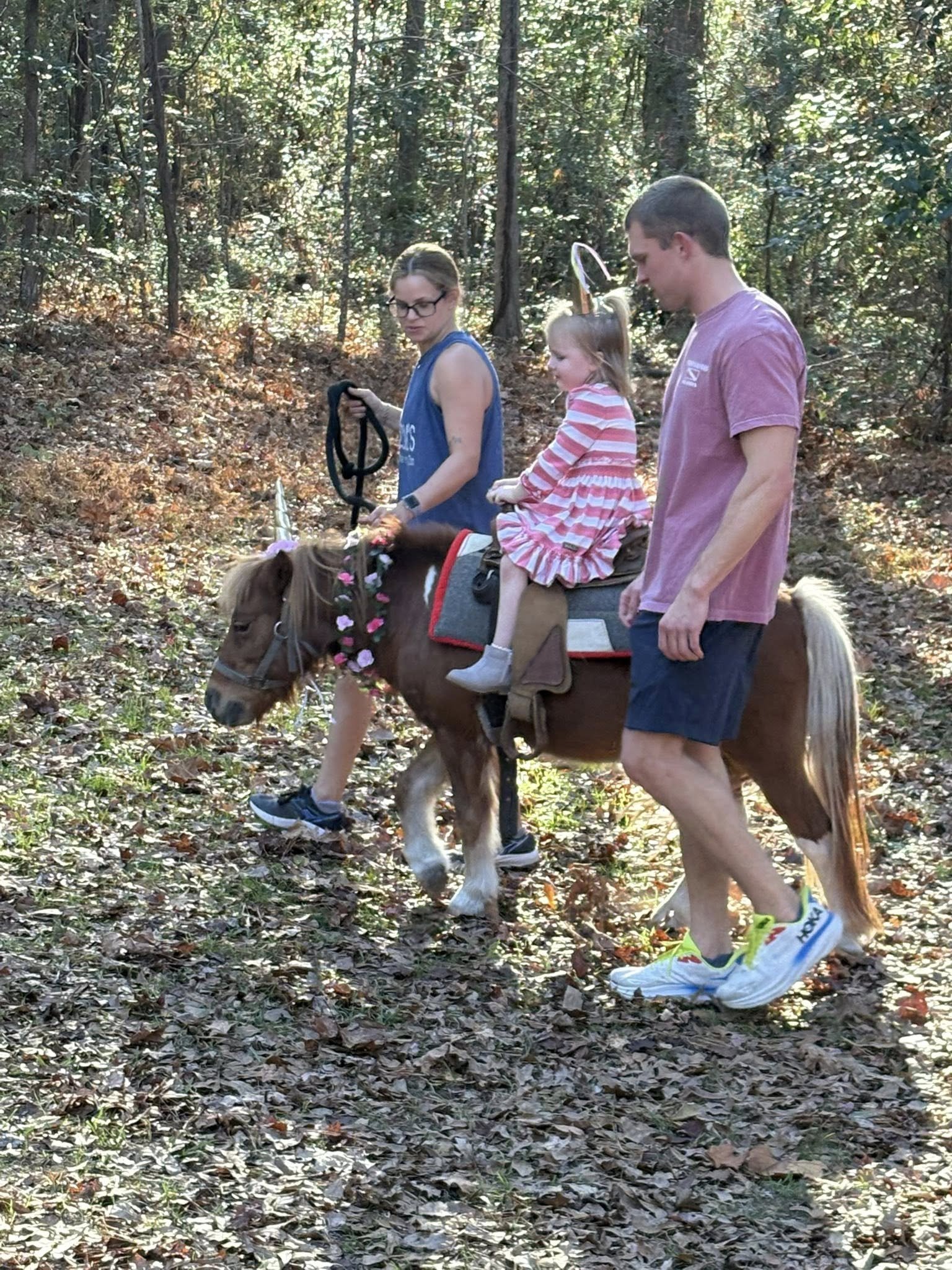 How a Mobile Petting Zoo Draws Crowds at Local Festivals