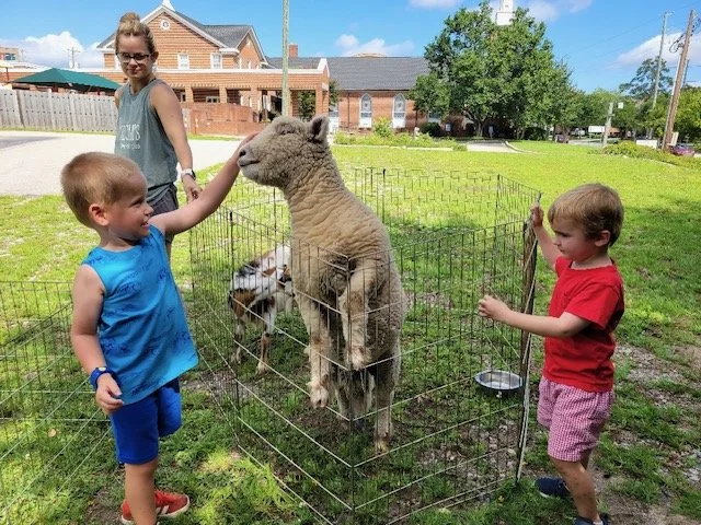 Two young children pet a llama inside a small fenced enclosure on a grassy area, with a girl watching and a boy reaching out to the llama. A woman stands nearby, observing. Residential houses and trees are in the background.