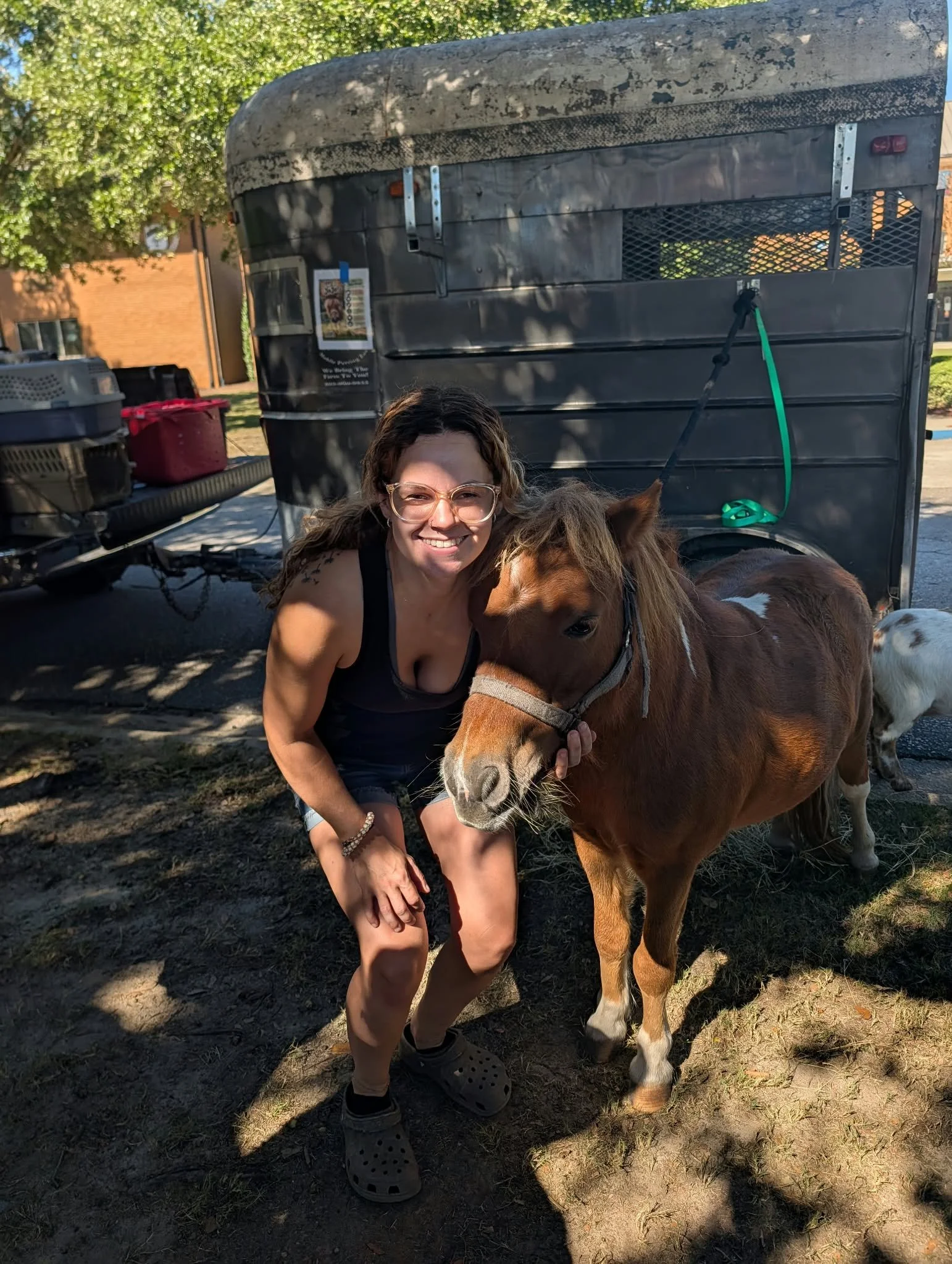 A woman with glasses kneels beside a brown and white horse, holding its head, in front of a black horse trailer with a green leash attached to the horse. The scene is shaded by a large tree, with a brick building in the background.