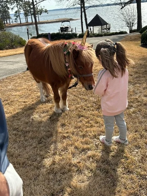 A young girl with pigtails and gray leggings standing facing a small brown pony with a horn, likely a unicorn plush toy, attached to its head, near a lake with trees, a gazebo, and a boat in the background.