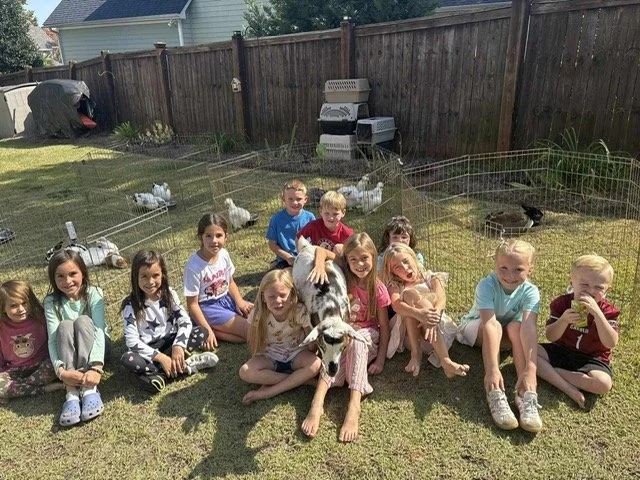 Children sitting on grass in backyard with a large dog and a fenced area containing chickens in the background.