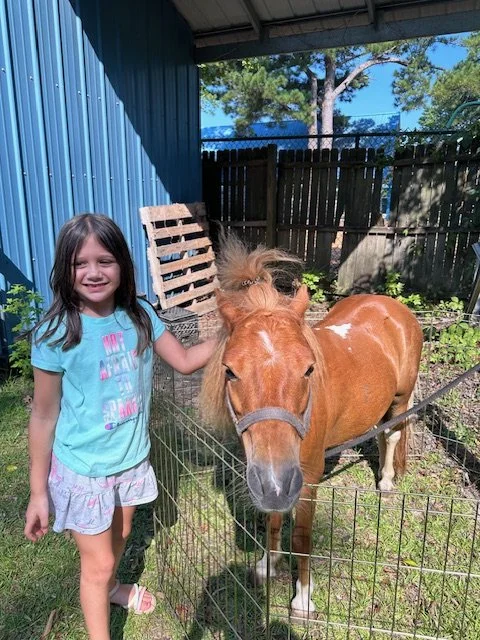 A young girl stands next to a small brown pony inside a fenced area outdoors, smiling and touching its mane.