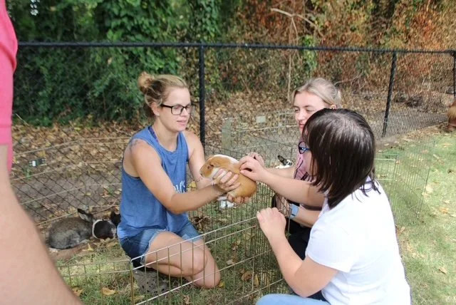 Three girls at a petting zoo, two with glasses and one with a white shirt, holding a guinea pig through a wire fence among other small animals.